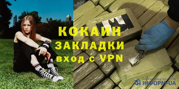 прущие грибы Абдулино